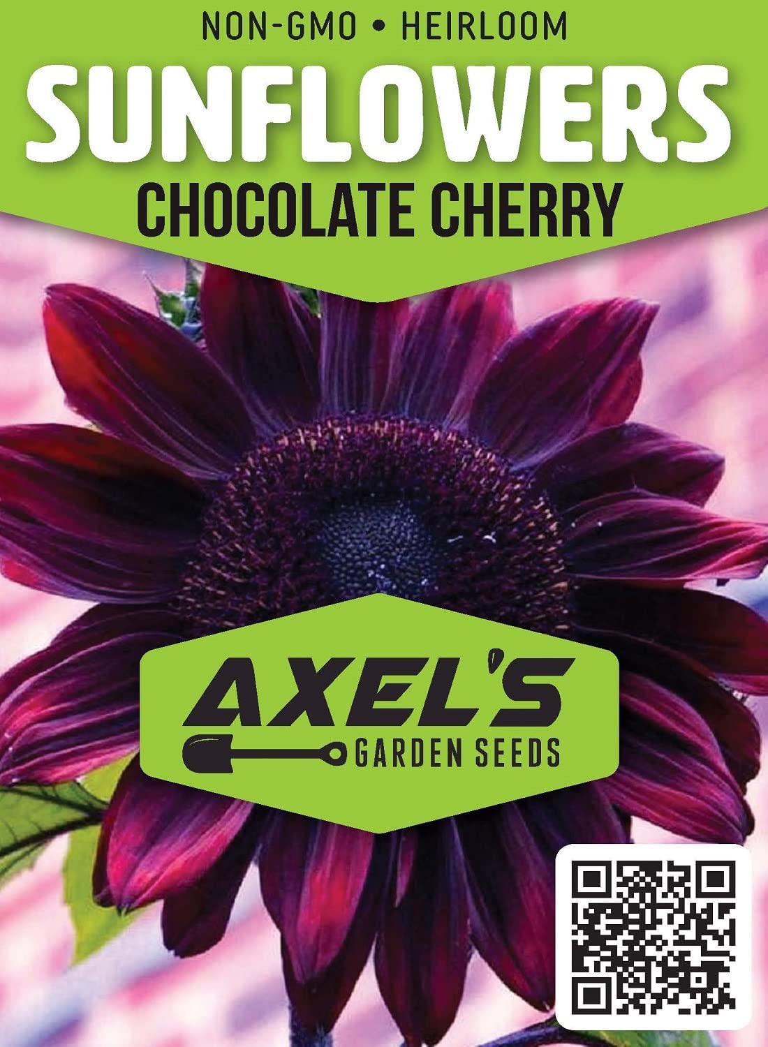 Sunflower Seeds for Planting – Grow Purple Chocolate Cherry Sun Flowers in Your Garden – 25 Non GMO Heirloom Seeds – Full Planting Instructions for Easy to Grow – Great Gardening Gifts (1 Packet)